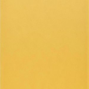 Aqua Amarillo